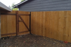 Stained Fir