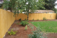 Stained Fir