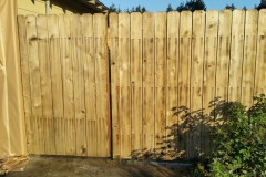 Cedar Restored