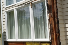 Dry Rot Before