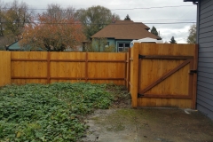 Fence fir and Gate