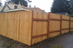 Fir Fence1